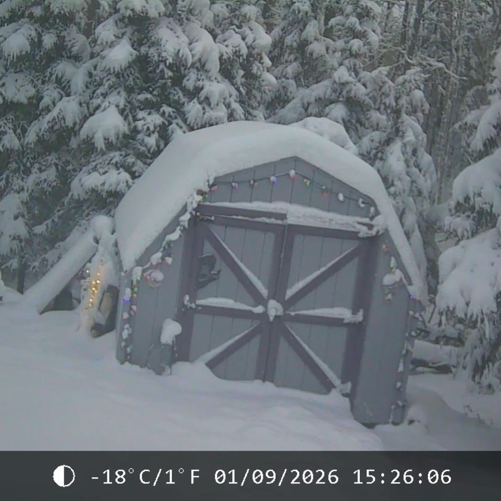 Meet your Posher, Ramona